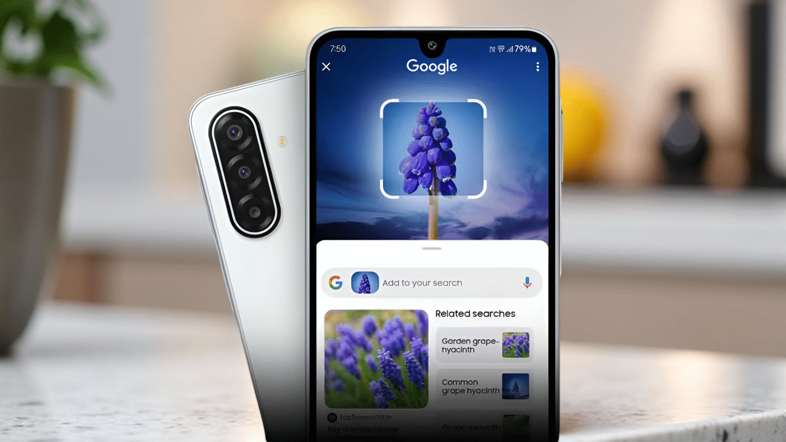 Samsung Galaxy M17 5G: 50MP OIS Camera, AI Power, Gorilla Glass Victus, 6 OS Upgrades, Circle to Search Magic