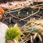 PM Kisan Samman Nidhi Yojana: किसानों के बैंक खाते में सीधे तीन किस्तों में आने वाली आर्थिक सहायता